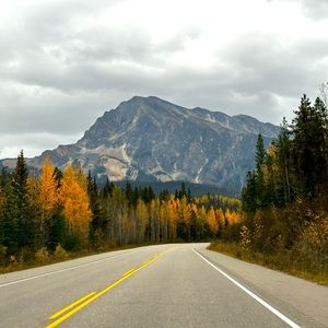 Meet your Posher, Maha